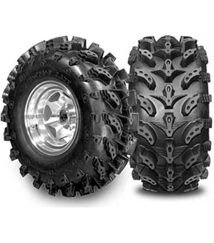 Amazon.com: Cheng Shin C829 General Purpose ATV Radial Tire 25x12